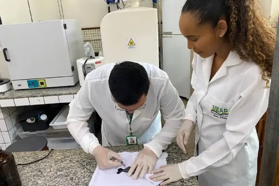 Governo do Estado do Amapá apresenta o Programa Rede Ciências 2026