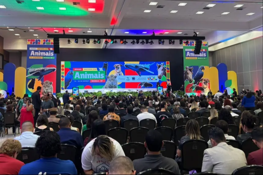 Carreta de castração é destaque na Semana Nacional dos Animais, em Brasília