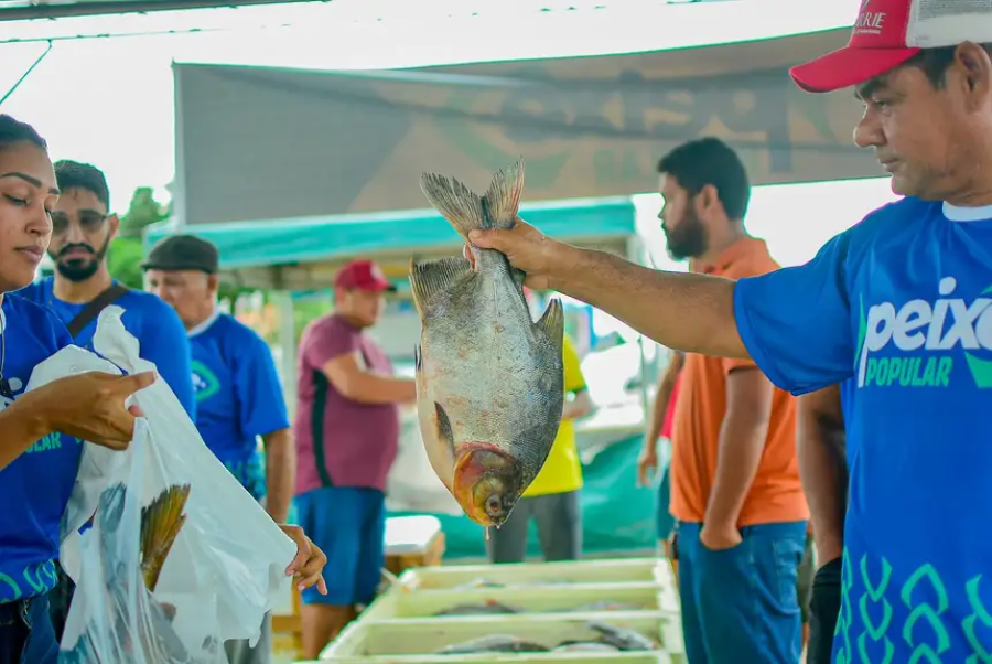 Governo do Amapá garante peixe até 30% mais barato e projeta comercializar 170 toneladas na Semana Santa