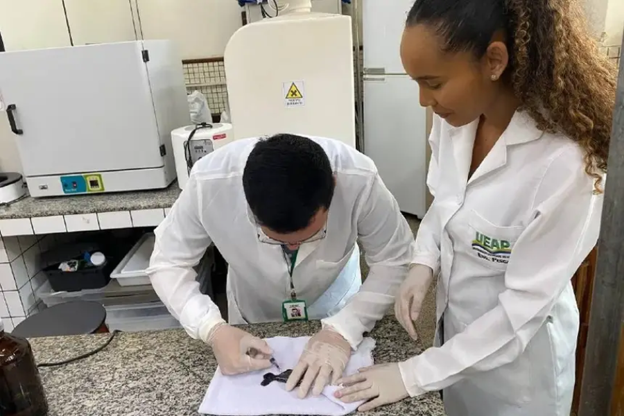 Governo do Estado oferta bolsas de mestrado pelo do programa “Rede Ciências”