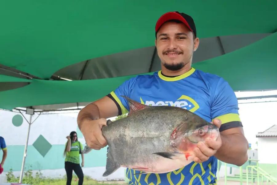Peixe Popular 2026 bate recorde histórico com mais de 224 toneladas comercializadas no Amapá