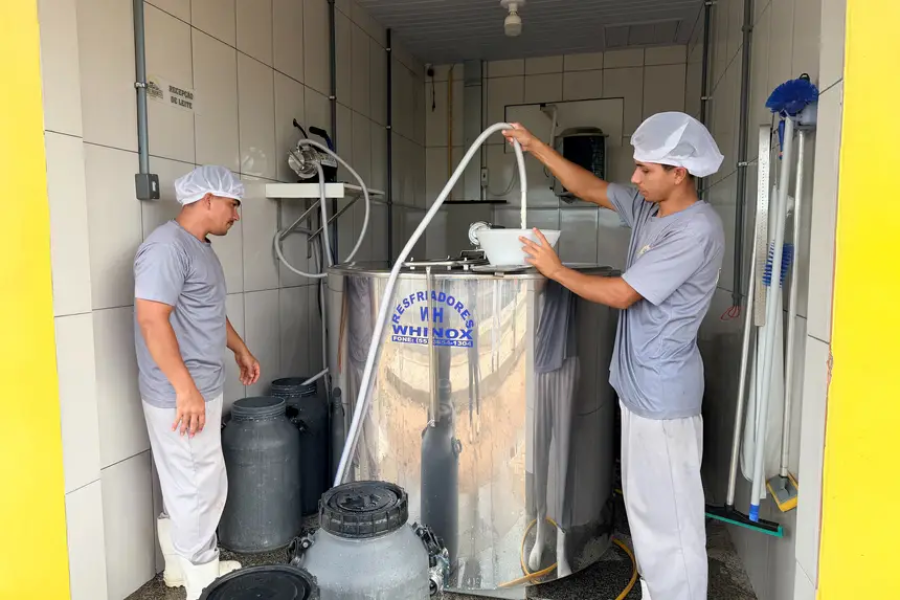 Governo do Amapá consolida avanço do setor primário com investimento direto na produção rural