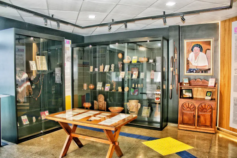 Governo do Amapá celebra 81 anos da Biblioteca Elcy Lacerda e marca 100 dias de revitalização