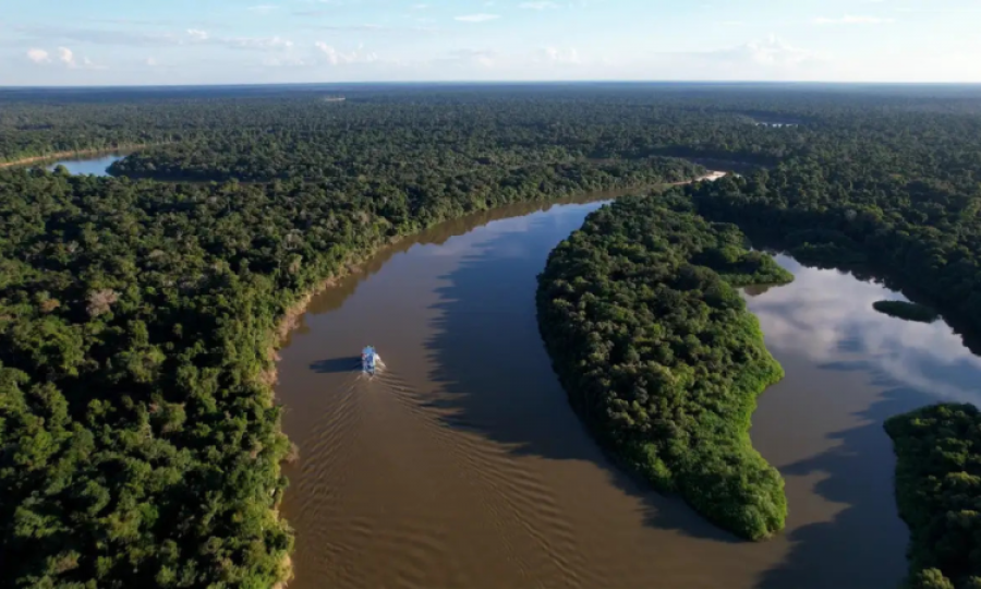 Grito e Clamor pela Amazônia Viva