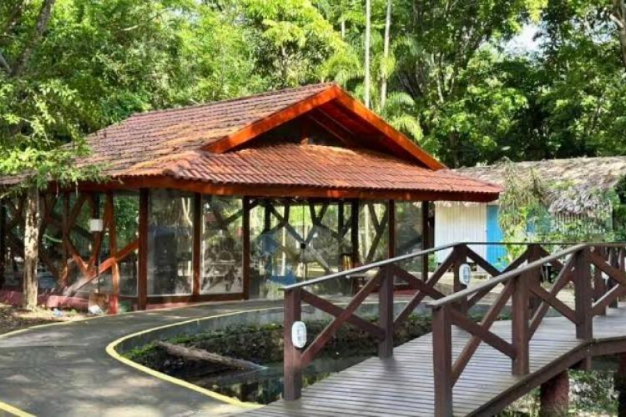 Projeto Férias no Museu