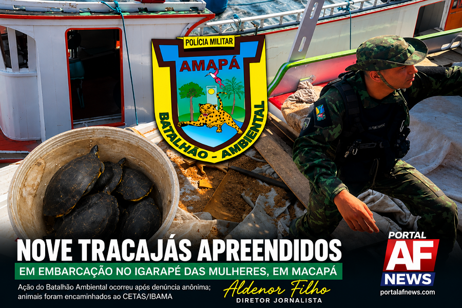 DENÚNCIA LEVA BATALHÃO AMBIENTAL A APREENDER NOVE TRACAJÁS EM EMBARCAÇÃO EM MACAPÁ