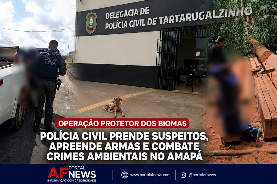 OPERAÇÃO PROTETOR DOS BIOMAS RESULTA EM PRISÕES E APREENSÕES NO INTERIOR DO AMAPÁ