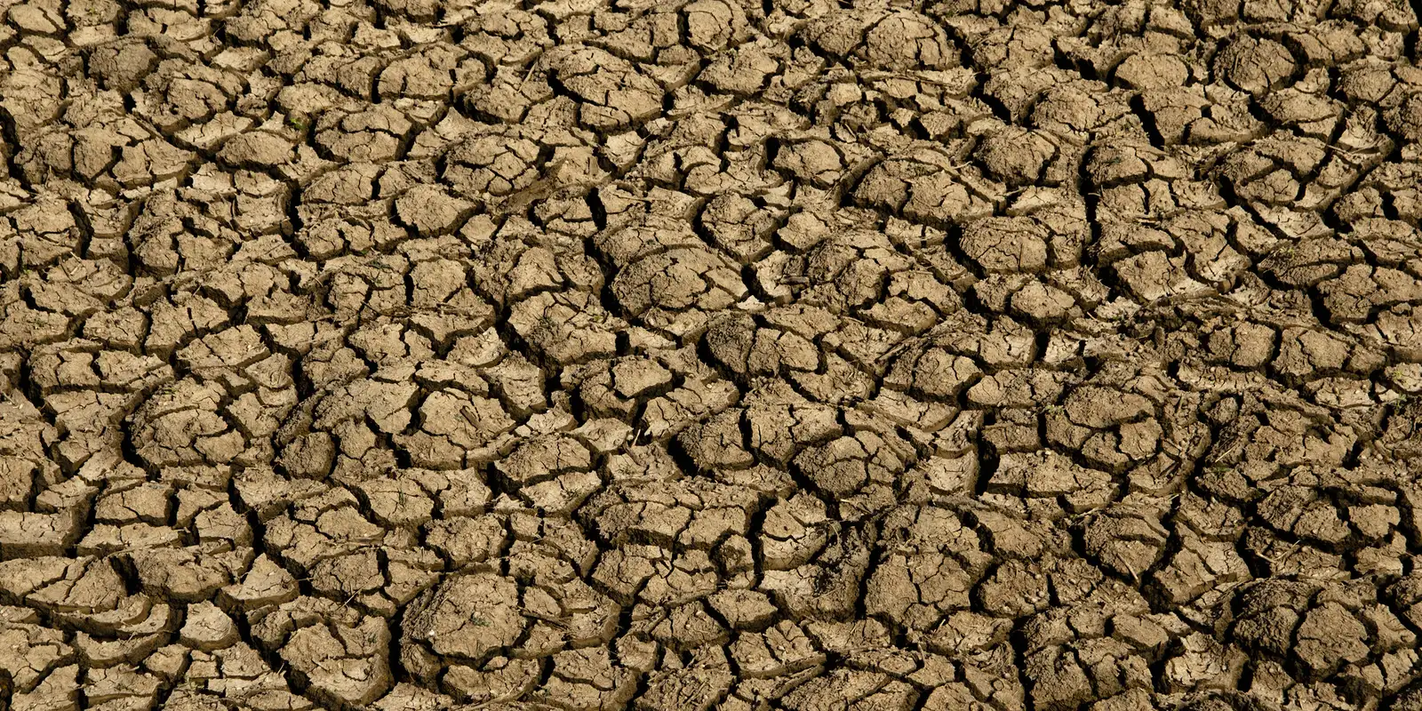 El Niño: entenda o fenômeno que intensifica os fenômenos climáticos