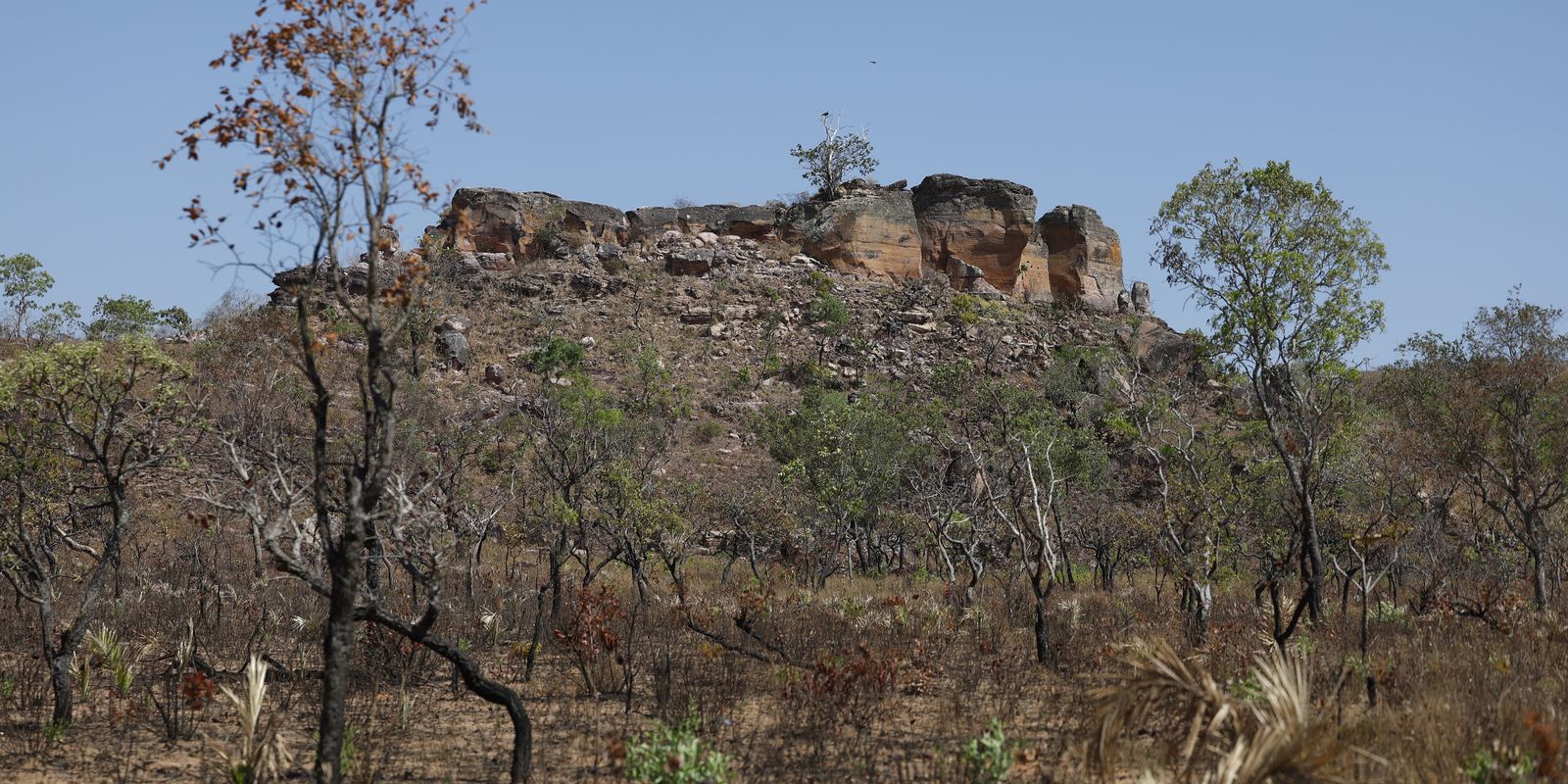 Terras indígenas representam preservação e cultura para o Cerrado