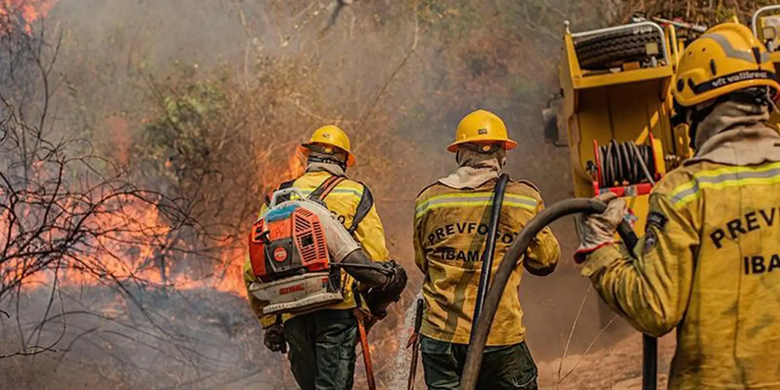 Amazonas teve quatro vezes mais focos de incêndio em outubro de 2026