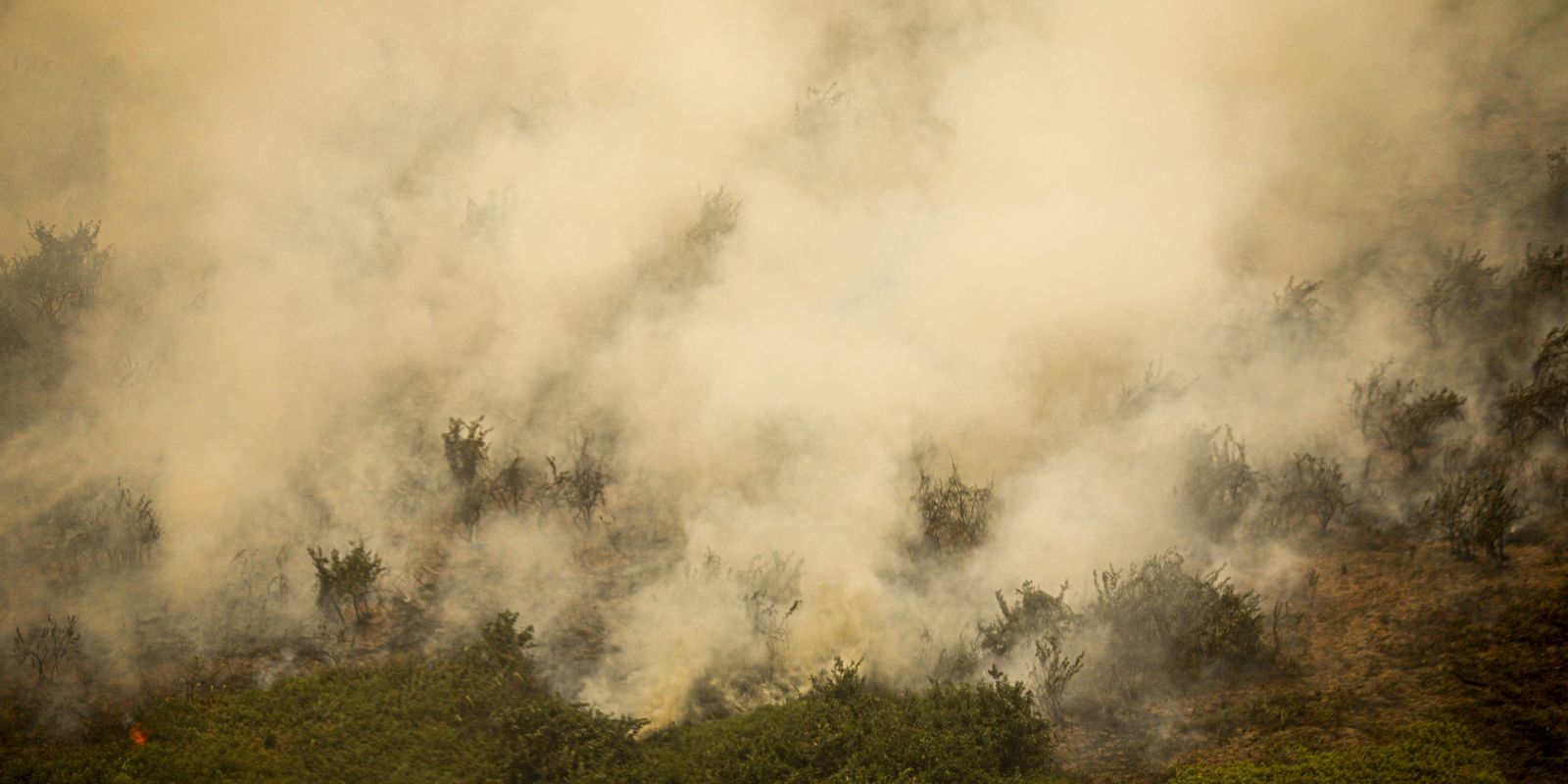 MG: principal foco de incêndio em Terra Indígena Maxakali é controlado
