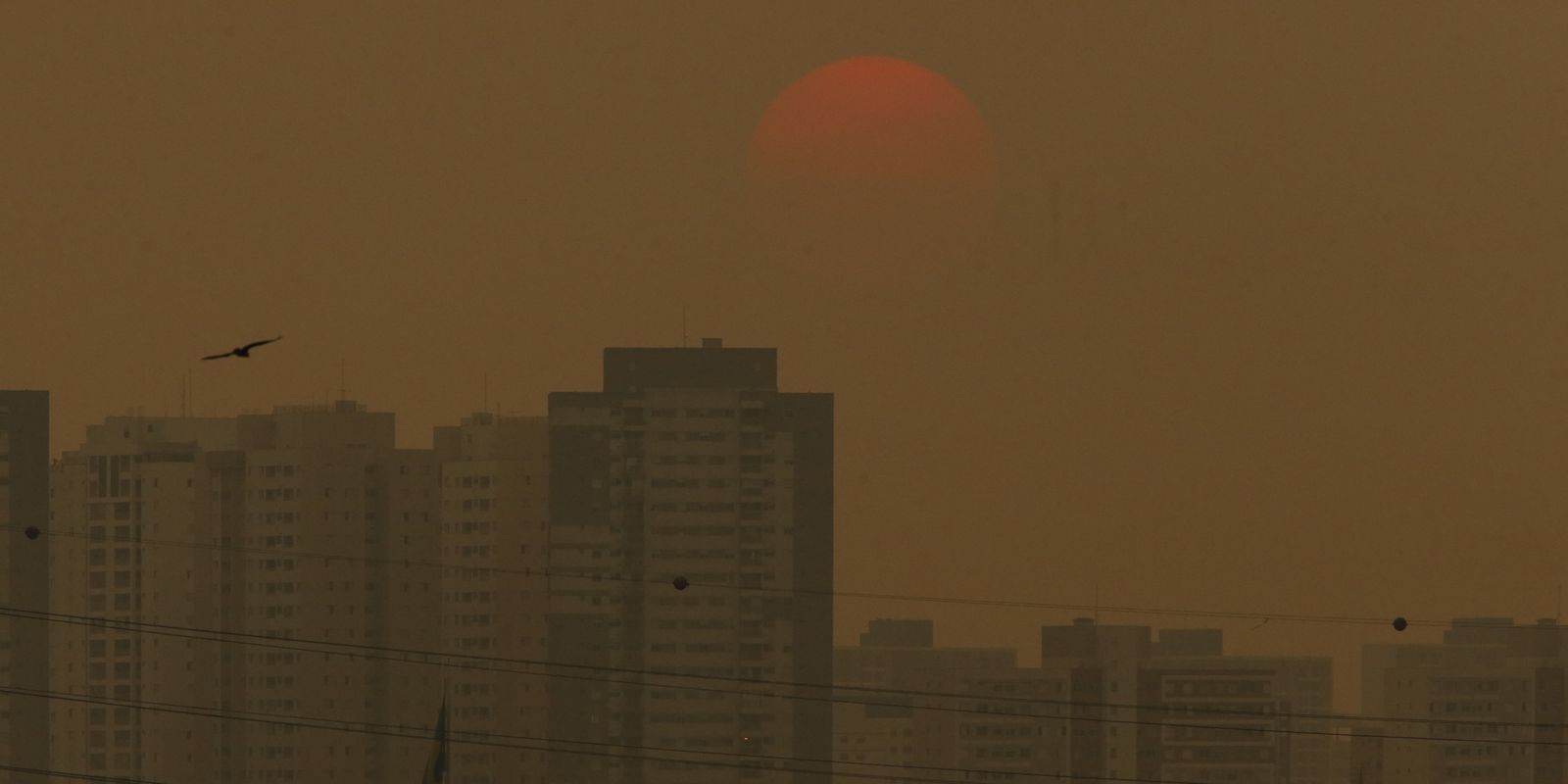 Concentração de gases do efeito estufa atingem níveis recordes