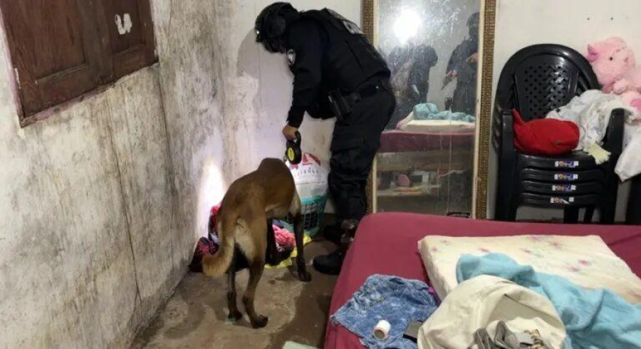 Polícia Civil cumpre mandados contra pessoas envolvidas em homicídios ordenados por grupos criminosos