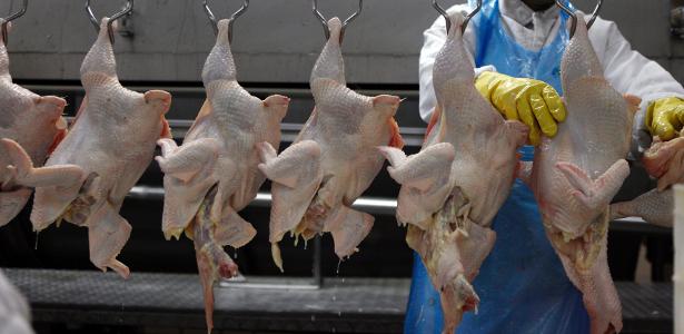 Sobe para 60 número de países que restringiram compra de frango do Brasil