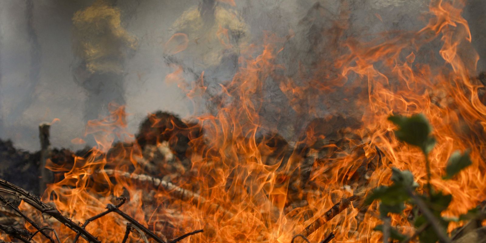 Polícia Federal inicia operação de combate a incêndios florestais