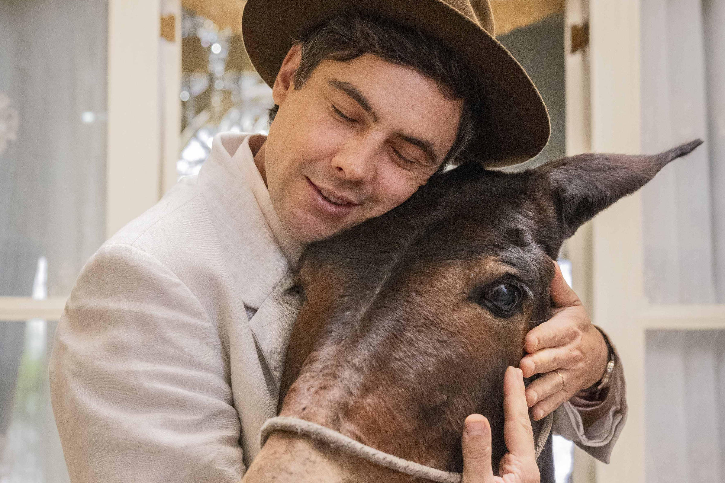Novela 'Êta Mundo Melhor!' usa IA para animar cenários e pôr caras e bocas em burro