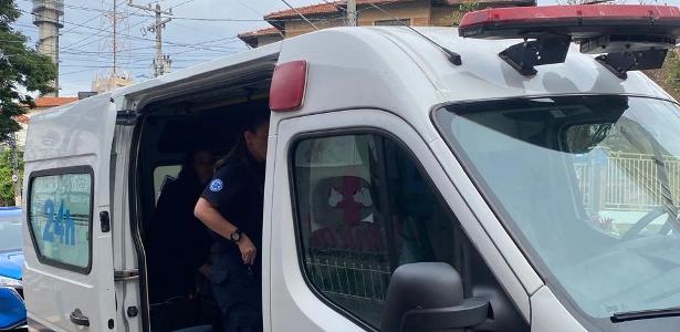 'Samu' para pets é pago, mas tem UTI, oxigênio e suporte como dos humanos