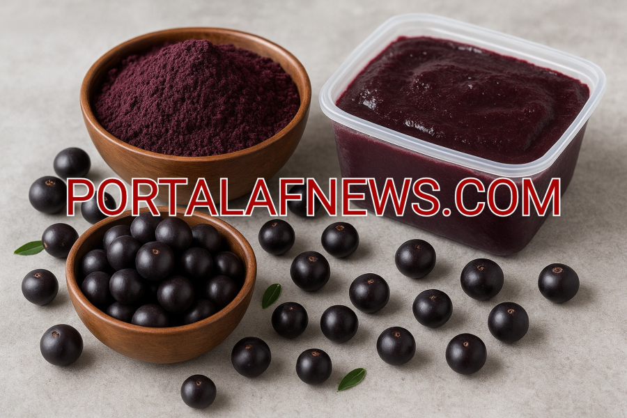 Tarifas dos EUA forçam cancelamento de exportação de açaí e geram prejuízo de R$ 480 mil à maior cooperativa do Amapá