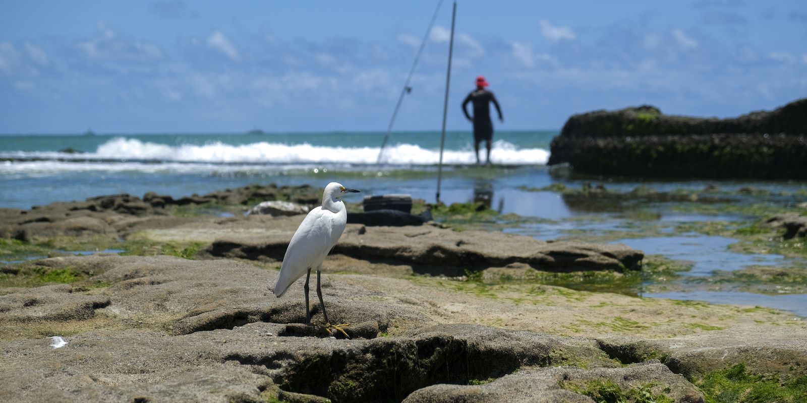 Programa Amazônia Azul deve ser lançado em agosto