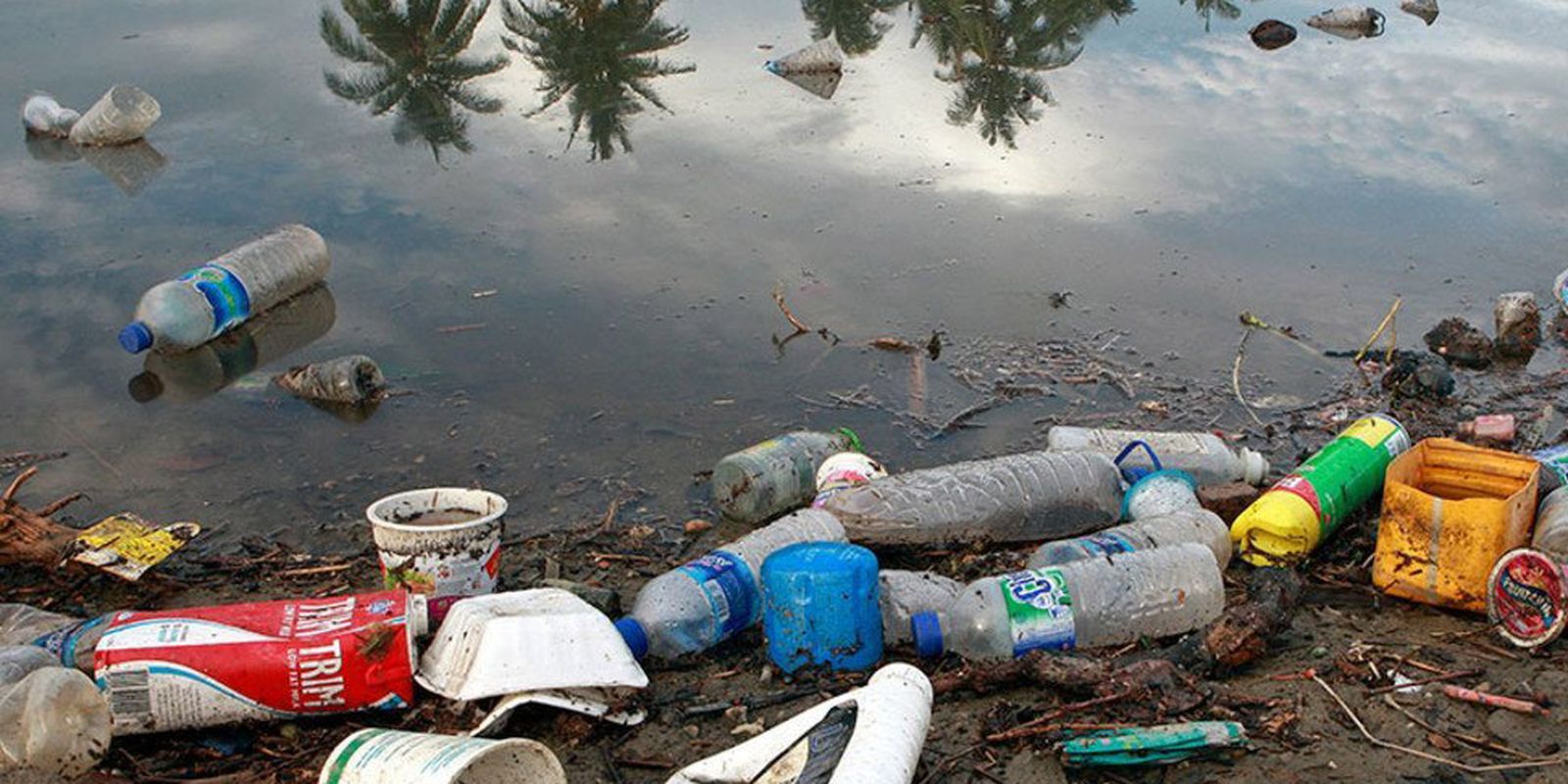 Impactos do microplástico são graves e afetam o ambiente e as pessoas